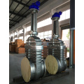 API 600 Stainless Steel Gate Valve